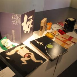 2010上海理工大学艺术专业毕业展（二）