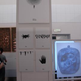 2010毕业展―南京艺术学院视传作品（二）