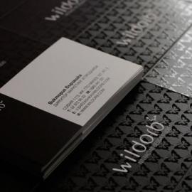 100款新鲜创意的黑色名片设计二