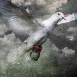 第三届伊斯兰世界国际海报双年展获奖作品