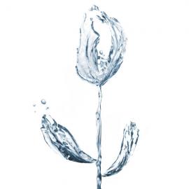 相信你眼前所看到得！