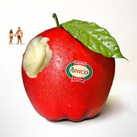 NNSS 设计机构品牌设计