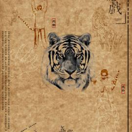 2009年中国美术学院上海设计学院视觉传达设计系A班余田颖毕业设计作品欣赏