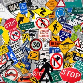 2009年中国美术学院上海设计学院视觉传达设计系A班朱维佳毕业设计作品欣赏