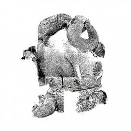 2009年中国美术学院上海设计学院视觉传达设计系B班刘捷毕业设计作品欣赏