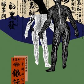 2009年中国美术学院上海设计学院视觉传达设计系B班庞呈晔毕业设计作品欣赏