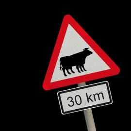 2009意大利Good 50X70国际海报设计赛获奖作品四