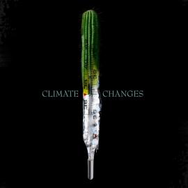 2009意大利Good 50X70国际海报设计赛：气候变化主题获奖作品