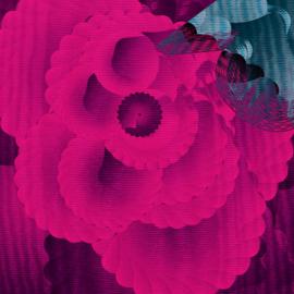 poskot作品欣赏（二）