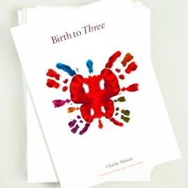 bunchdesign平面设计欣赏二