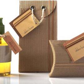 dayna cotter平面设计欣赏