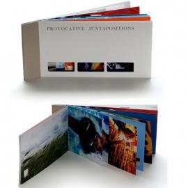 Janine Toro平面设计欣赏