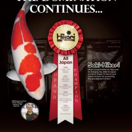 corn syrup kills平面设计作品欣赏