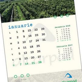 Alexandra Ciofu 平面设计