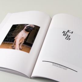 Peter Smith 平面设计