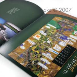 Amanda Cordsen 平面设计