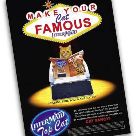 Isabel Santi 平面设计