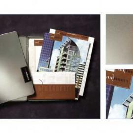 Tammy Cameron 平面设计