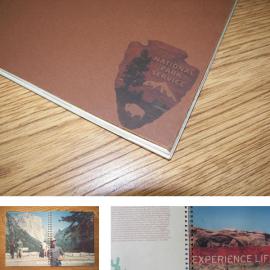 Dani Gudowski 平面设计