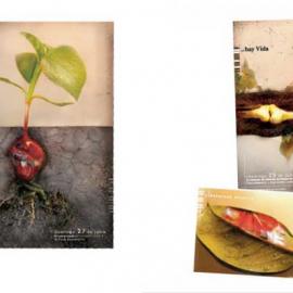 Linda Pontoriero 平面设计