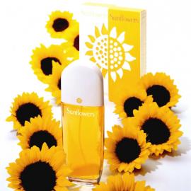 Michelle Nahum-Albright 平面设计