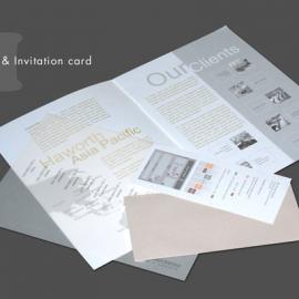 Faye Hong 平面设计