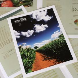 Rachel Adkins 平面设计