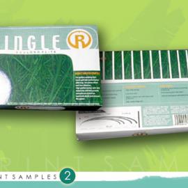 Kerry Bailey 平面设计