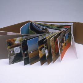 Three Circles 平面设计