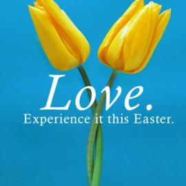 Shawnte McQueen 平面设计