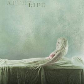 2008上映的电影海报欣赏