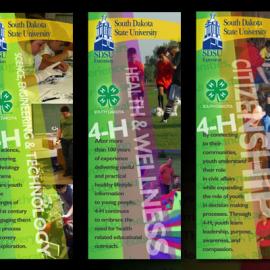 Anna Norton 平面设计