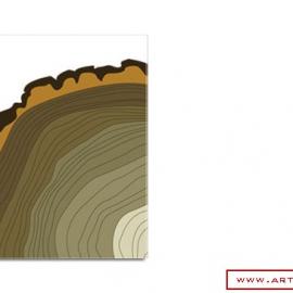 Jennifer Webb 平面设计