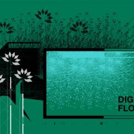 Mostar Design 工作室作品欣赏