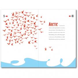 Sarah Caisse 平面设计