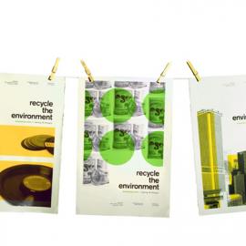 Reena Young 平面设计