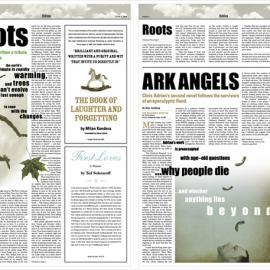 Solvita Marriott平面设计