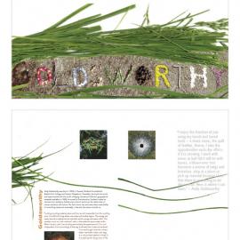 美国 zimnochania平面设计