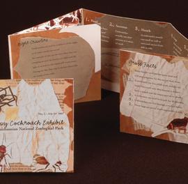 Megan Sullivan 平面设计