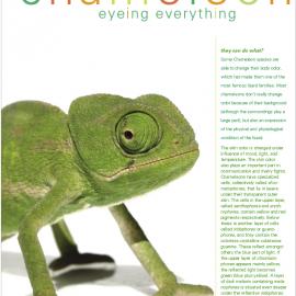 Christopher Lyden平面设计