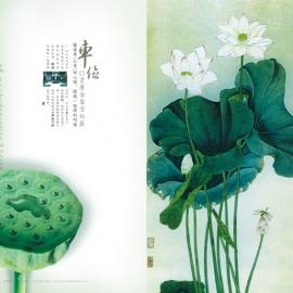 古典的房产楼书设计欣赏