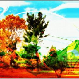 Madcapa经典平面设计