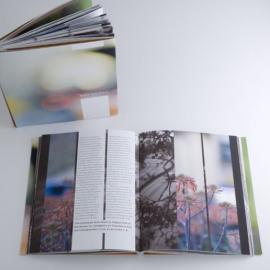 Timothy MoraitisMoraitis平面设计