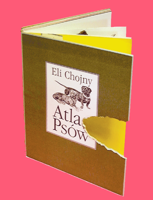 ATLAS PS&Oacute;W平面设计