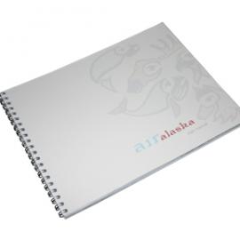 Alissa McCawley阿拉斯加航空视觉设计