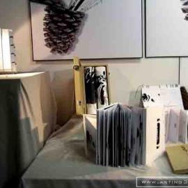 2007届天津美院视觉传达设计系毕业设计作品展（二）