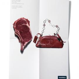 GLIVE jacobson平面设计