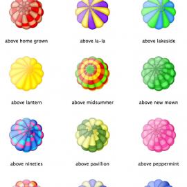 色彩搭配极具参考意义的特色图标