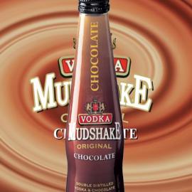 韩国KGB VODKA酒瓶装