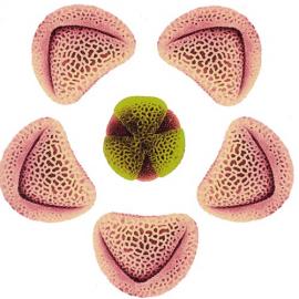 伦敦艺术大学 在线作品展